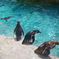 水族館